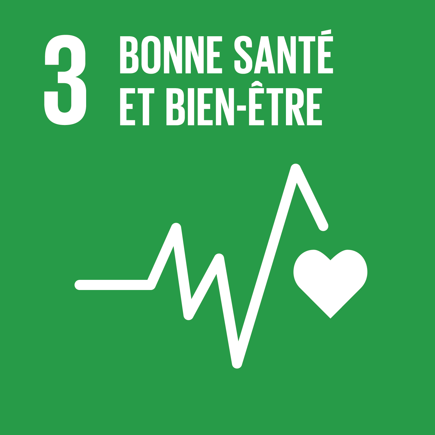 SDG 3 - Bonne santé et bien-être