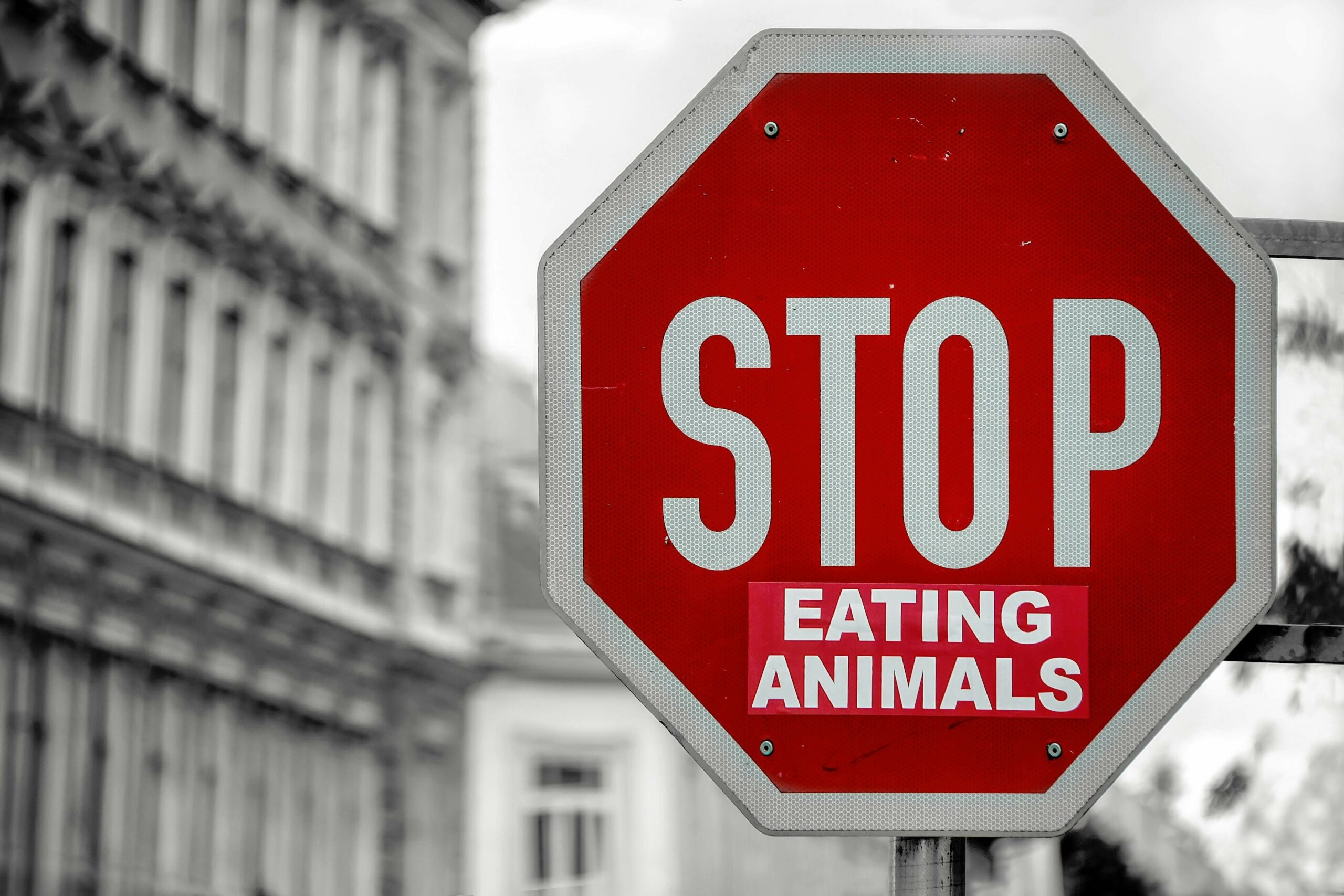 Bienfaits alimentation vegane - panneau stop eating animals